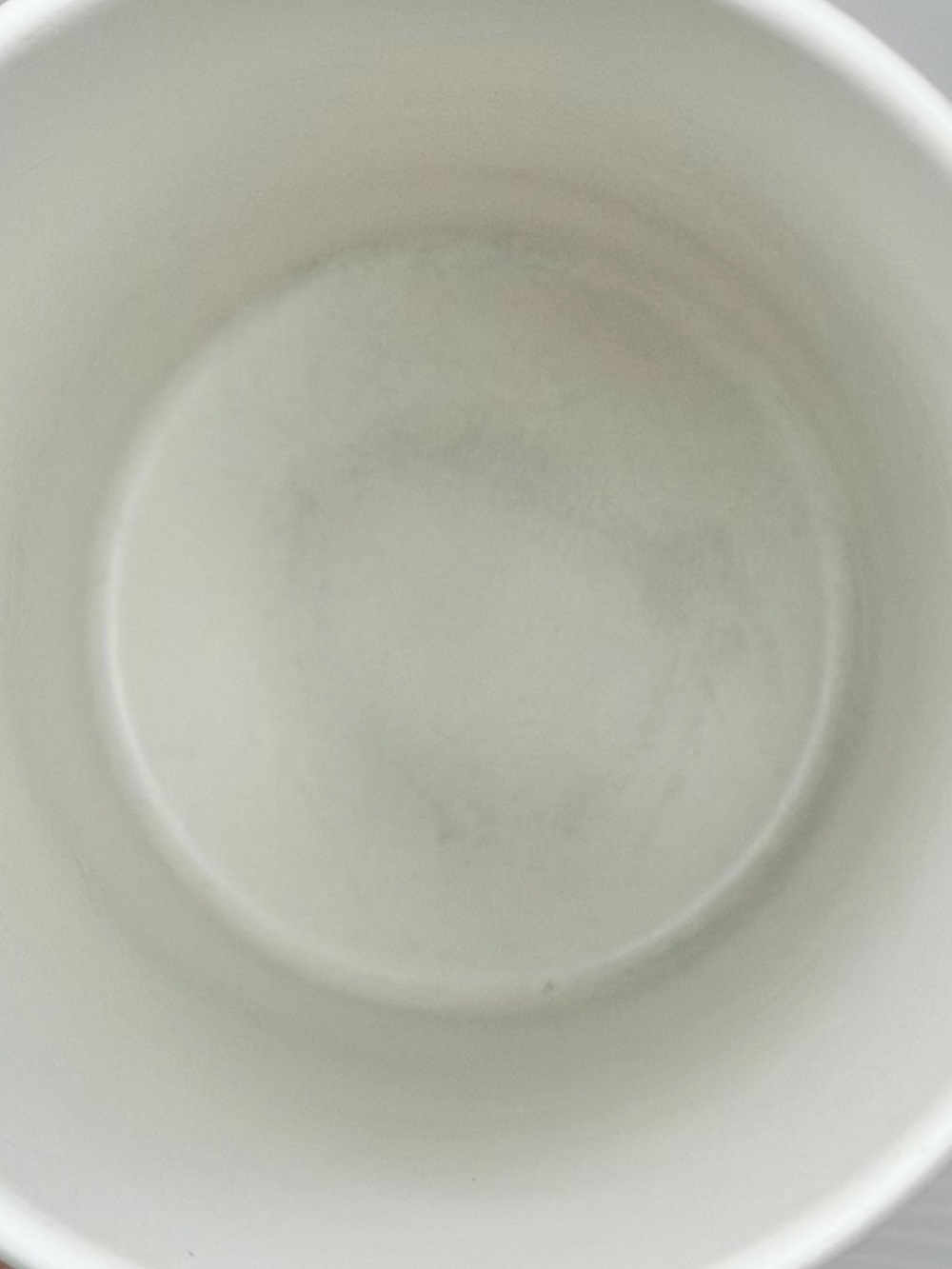 Starbucks 16 oz Bicycle Coffee Mug White Green Ceramic Cup - Picture 5 of 8
